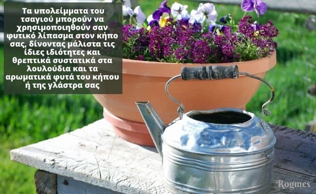 Τσάι στα λουλούδια